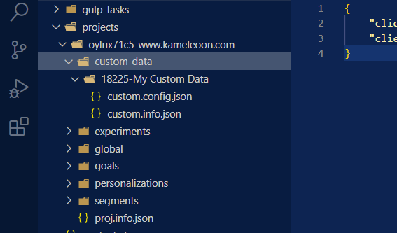 Custom-data folder